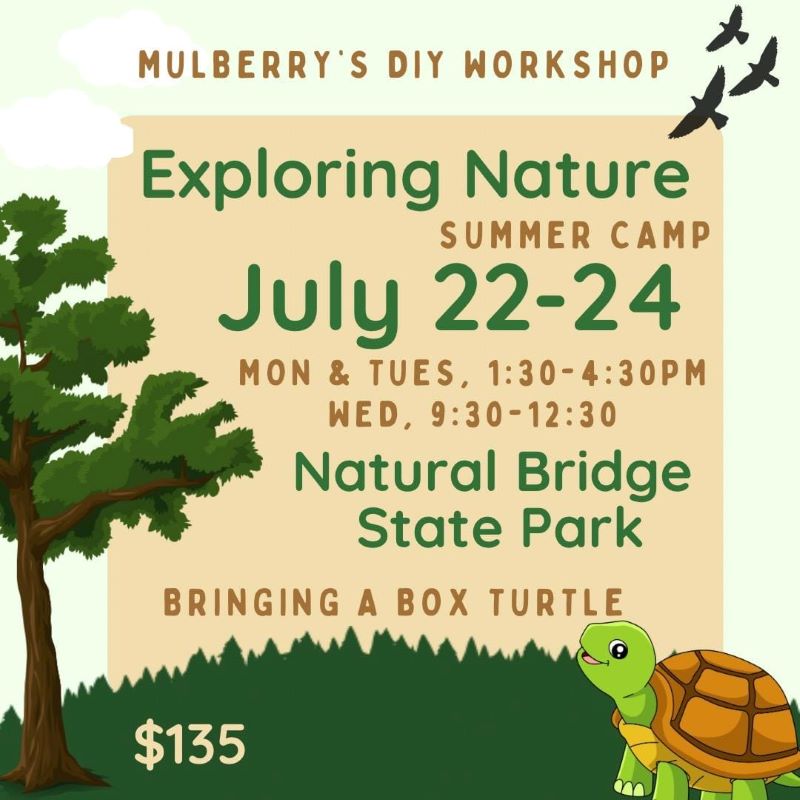 Come learn about native animals of Virginia during our Exploring Nature summer camp!  We'll paint coordinating nature projects. Dates of Camp: Monday & Tuesday, from 1:30-4:30pm, and Wednesday, from 9:30am-12:30pm.  Ages 6-12.  Please register to reserve your spot. Can't make it all three days? Single days are available too. No refunds. Registration may be transferred to a different camp, if needed.